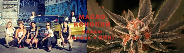 молекула духа Болхов