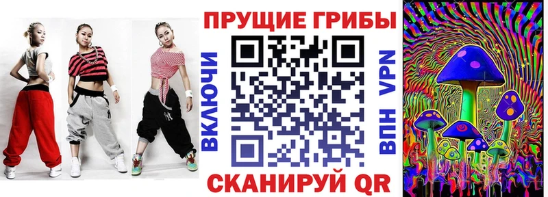 hydra как войти  Катайск  Галлюциногенные грибы Psilocybe  наркота 